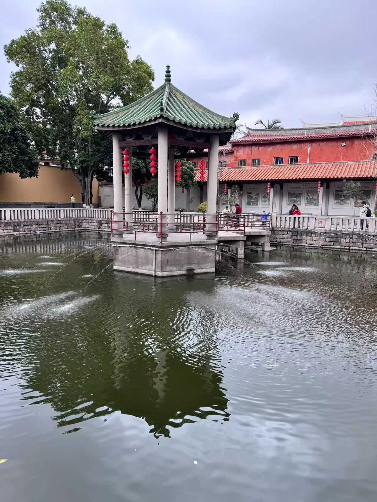 图片3